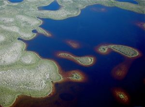 Images of the Caribbean - in the Arctic?