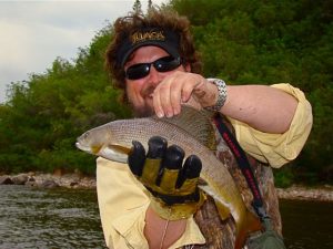 Arctic Grayling