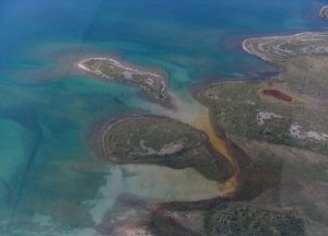 Images of the Caribbean - in the Arctic?