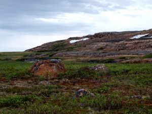 The Barrens