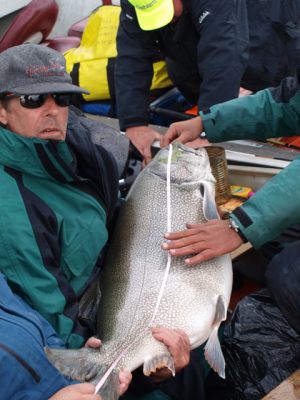 70 Pound Lake Trout