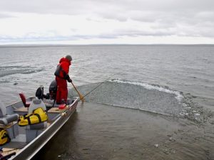 Drifting Ice