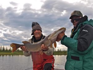 Whitefish River Pike