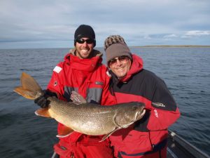 Nice Lake Trout