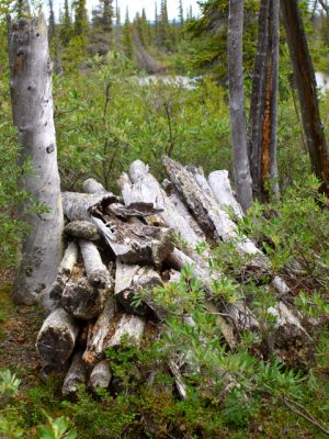 Katseyedie River Grave