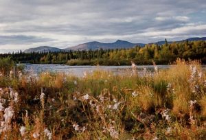 Nyakuk River - Alaska