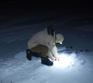 Ice Fishing on Great Slave Lake