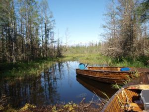 Wonderland - Esnagami Lake