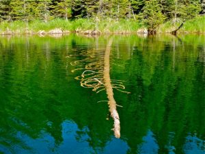 Wonderland - Esnagami Lake