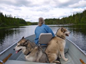 Boat Dogs