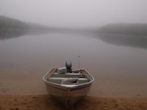 Early Morning Mist