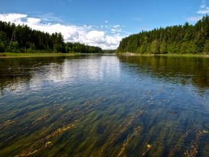 Sturgeon River, Ontario