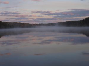 Morning Mists