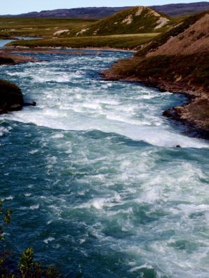 Tree River - NWT